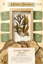 Coffret Herba Éclat | Anti-Ride & Baume Apaisant – Image 6