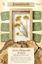 Coffret Herba Éclat | Anti-Ride & Baume Apaisant – Image 4